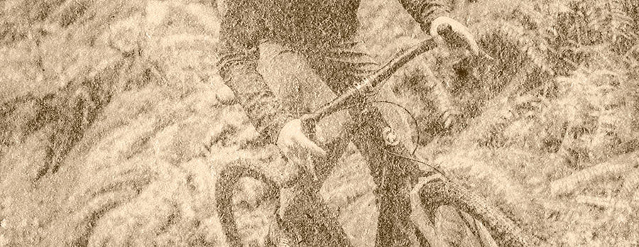 Ouro_Sepia_Image4