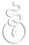 o5454