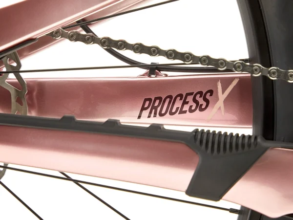 Process X CR — изображение 13